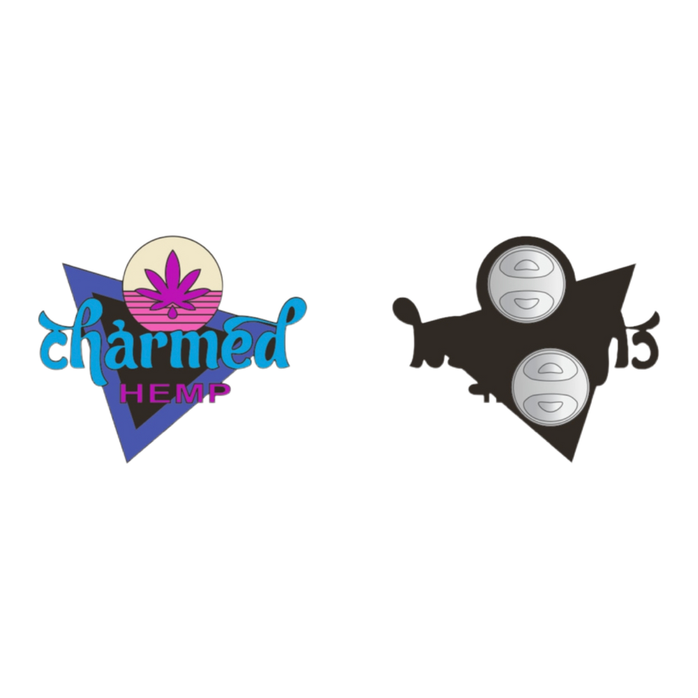 Two pushback-style hat pins with retro wave designs. One has a multicolored design with the text 'CHARMED HEMCO', and the other has a black and silver color scheme with the text 'RETROWAVE'.