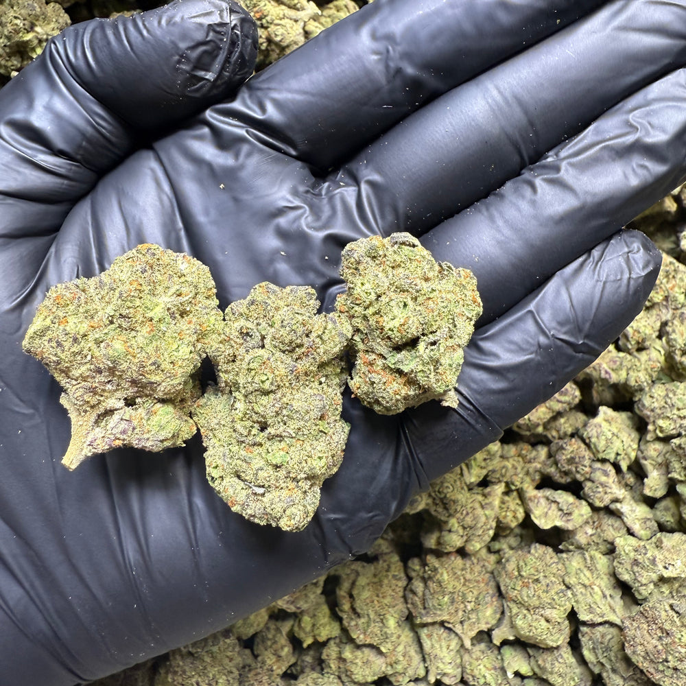 Lemon Berry Sherbert 27.4% THCa | AAA