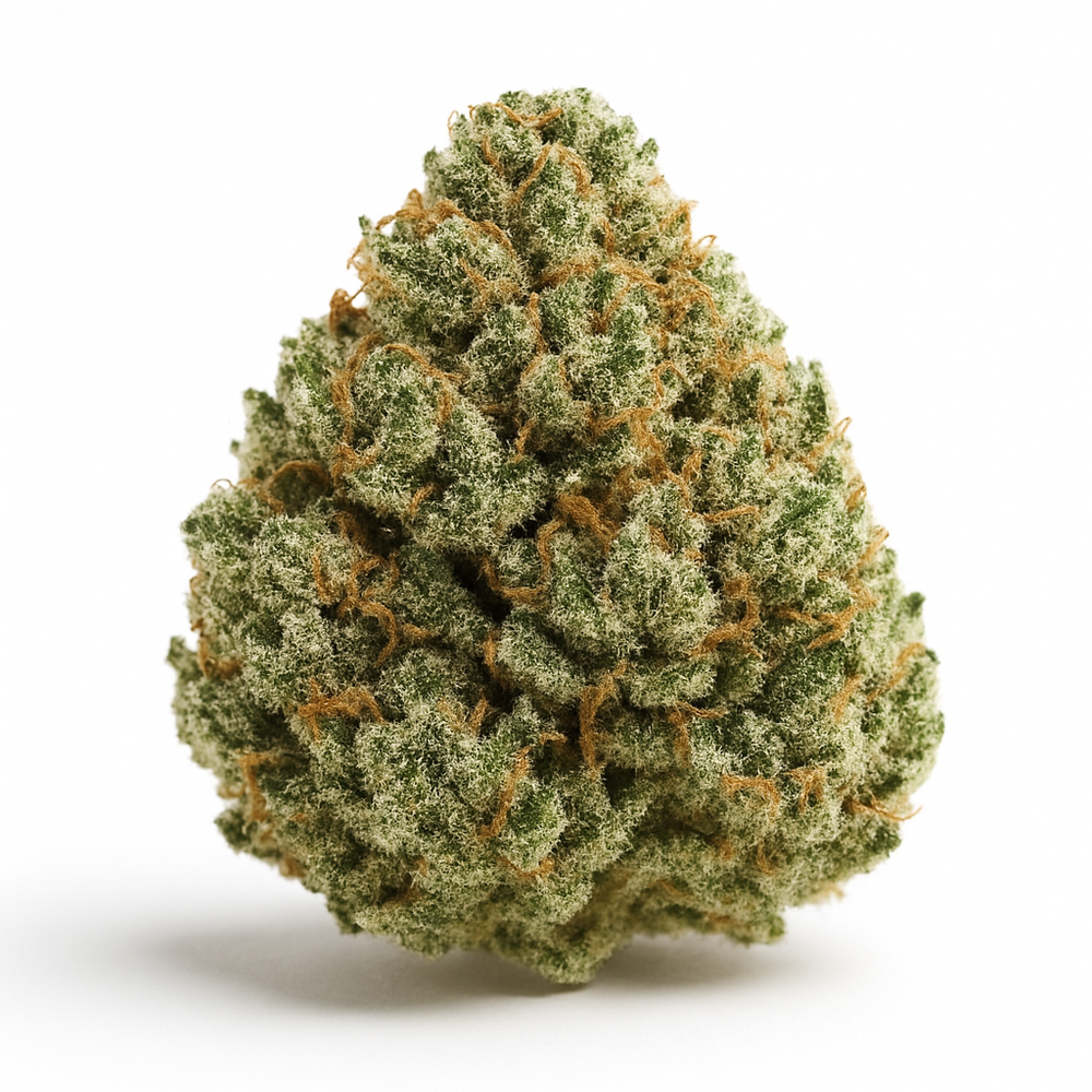 Close-up of a cannabis bud on a white background