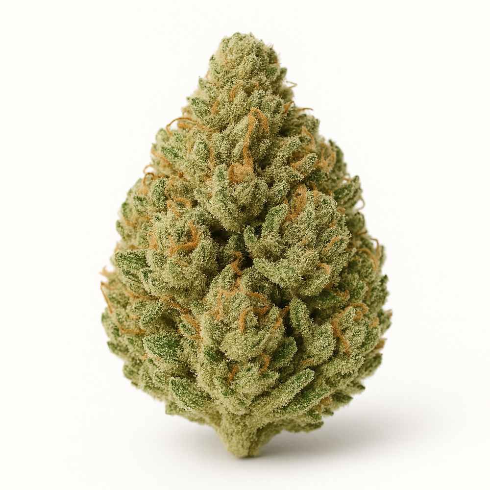 Close-up of a cannabis bud on a white background
