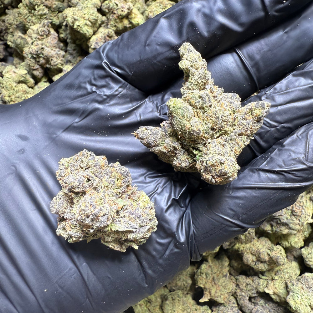 Lemon Berry Sherbert 27.4% THCa | AAA