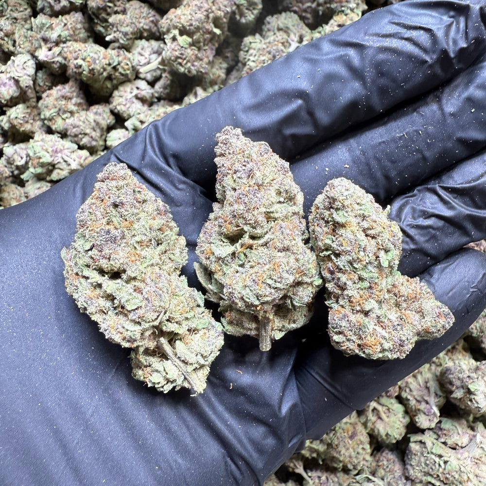 Purple Haze THCa Flower