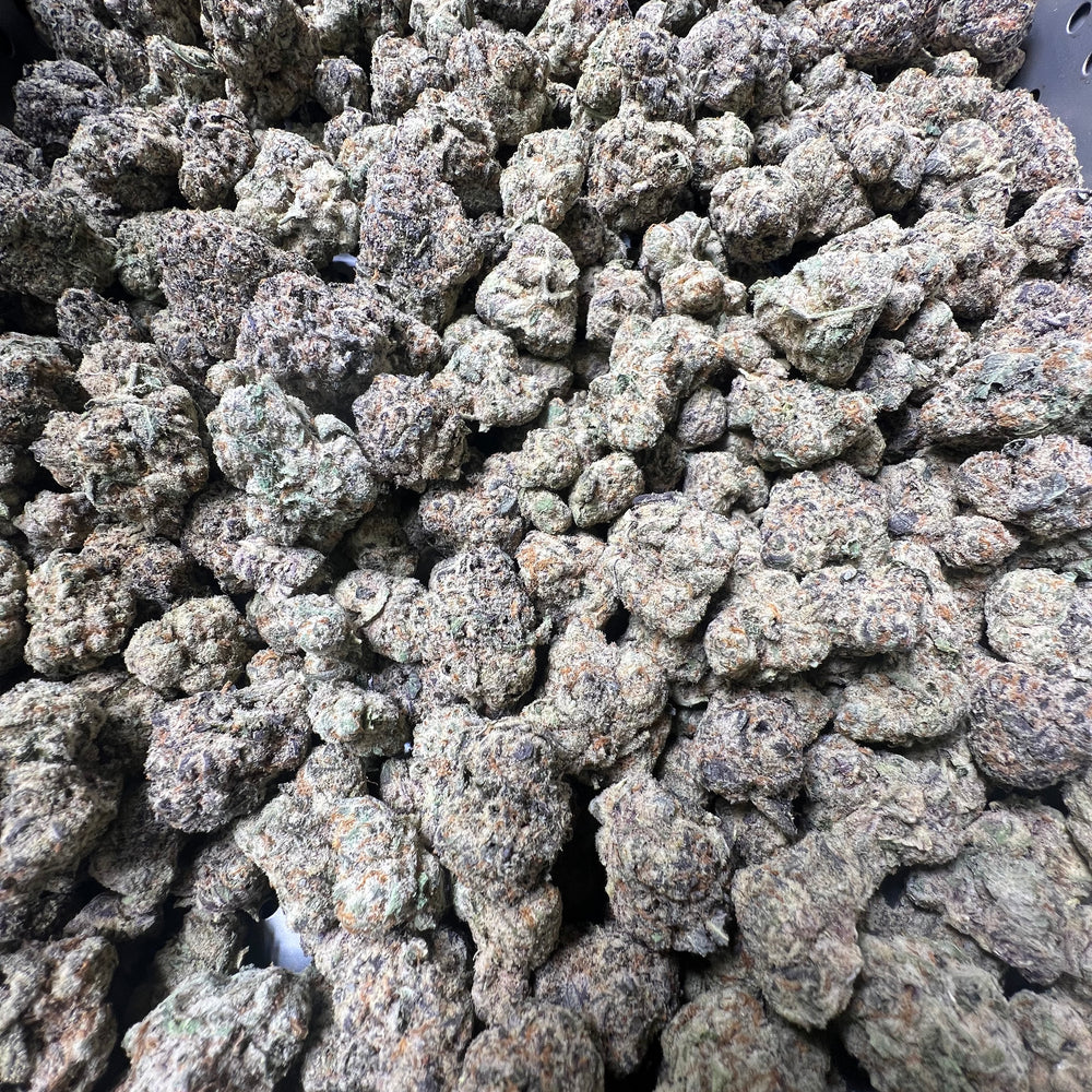 Purple punch bulk flower image 